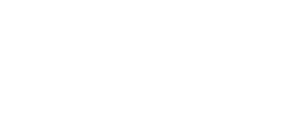 Logo Media Peer Academy